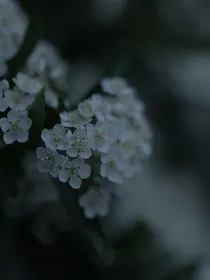 新同学……