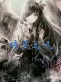 暗黑之风——d931