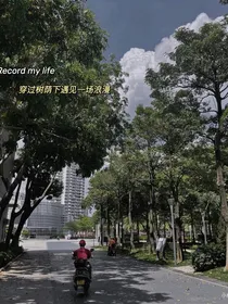 少年派：奶糖撞地球