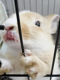 一秒钟时差