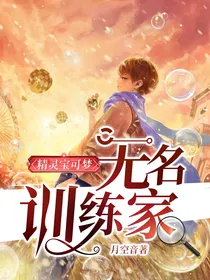 精灵宝可梦之无名训练家
