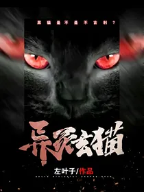 异灵玄猫