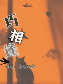 巧相逢