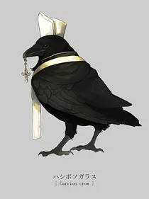 野兽观