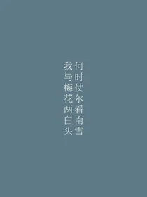 何时仗尔看南雪，我与梅花两白头