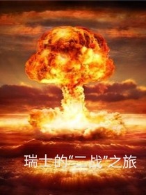 瑞士的二战之旅