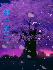 神兵小将之独一无二