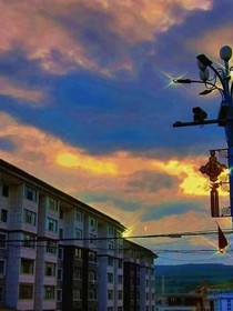 她是他的毕生之劫