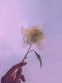 成全自己的中二梦