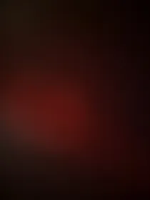 网红发家致富路