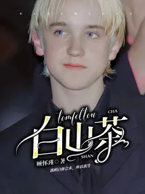 Tomfelton：白山茶