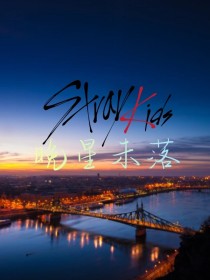 StrayKids：晚星未落