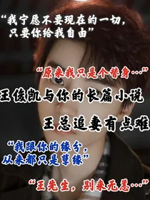 王总追妻有点难
