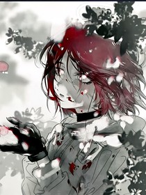 少年的喜欢属于少年