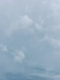 缘情伤人