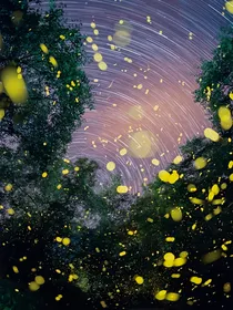 TNT短篇：星河