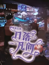 神奇宝贝：日落凡间