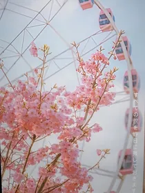 平凡但不平庸