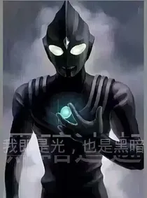 黑即是白迪赛