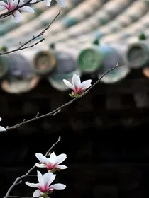 原创还珠同人小说守候