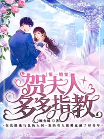 第一婚宠：贺夫人多多指教