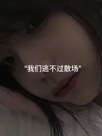 竹子语录大全