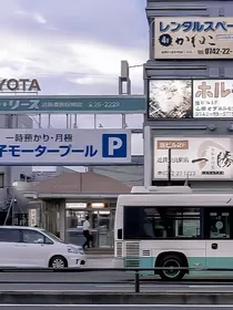 醉情礼色