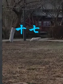 十七遇你