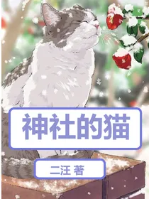 吟猫倦