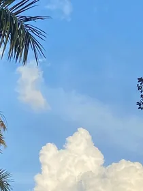 你是我最后的温暖