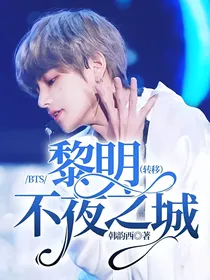 BTS：黎明不夜之城