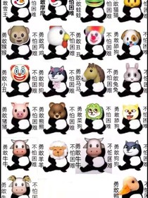 致所有小可爱们