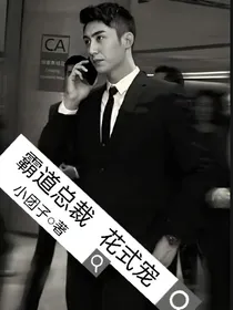 霸道总裁花式宠