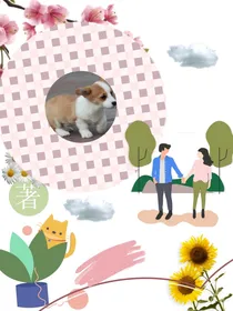 柯基犬的夏天