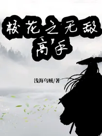 校园之无敌高手