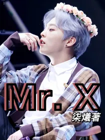 MrX
