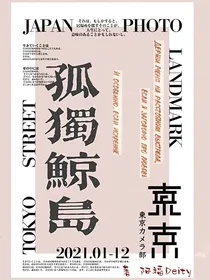 孤独鲸岛