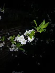 主要为我手机里的图