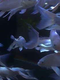 深夜画廊