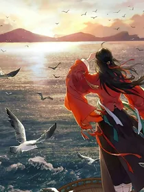 斗龙：旧梦一场