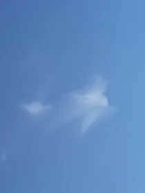 喜欢大海，拥抱他