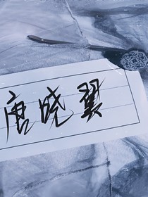 查理九世之游魂