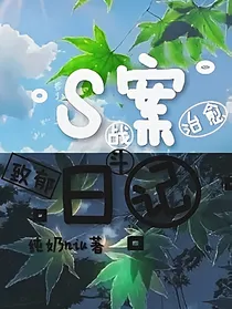 S案日记