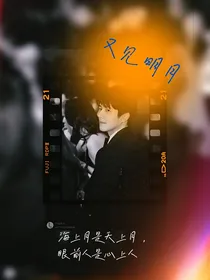 又见明月