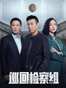 巡回检察组-d417