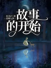 查理九世——故事的开始