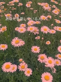 那年微风