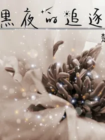 黑夜的追逐