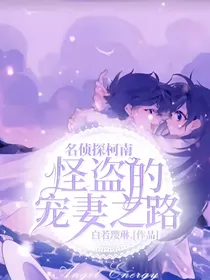 名侦探柯南：怪盗的宠妻之路