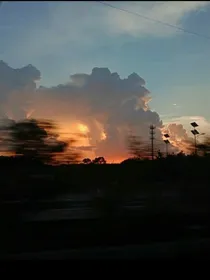 风禾尽纪